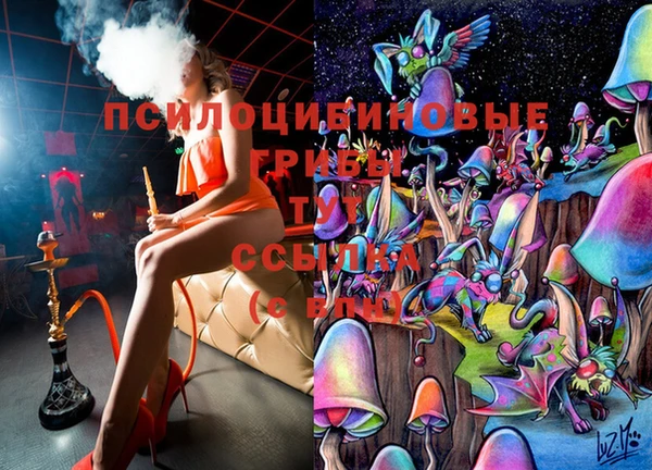гашиш Касимов